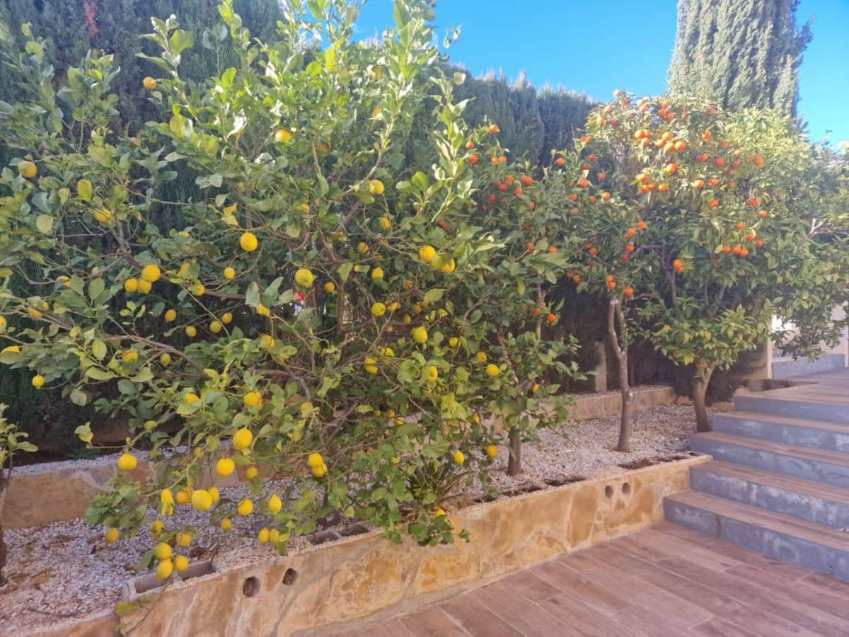 3 Zimmer Villa zu verkaufen in Benitachell / Benitatxell - 715.000 € (Ref: 10013844)