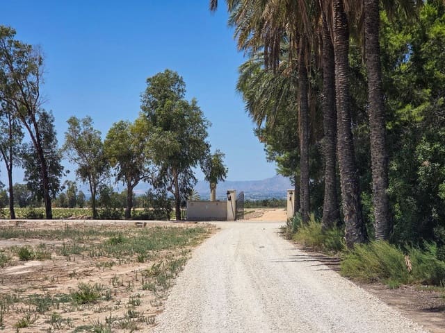 9 quarto Moradia para venda em Elche / Elx - 1 150 000 € (Ref: 10017912)