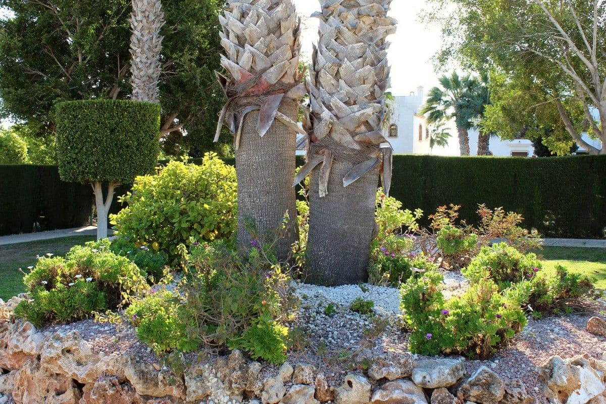 3 Zimmer Apartment zu verkaufen in Orihuela Costa mit Pool - 239.000 € (Ref: 10017943)