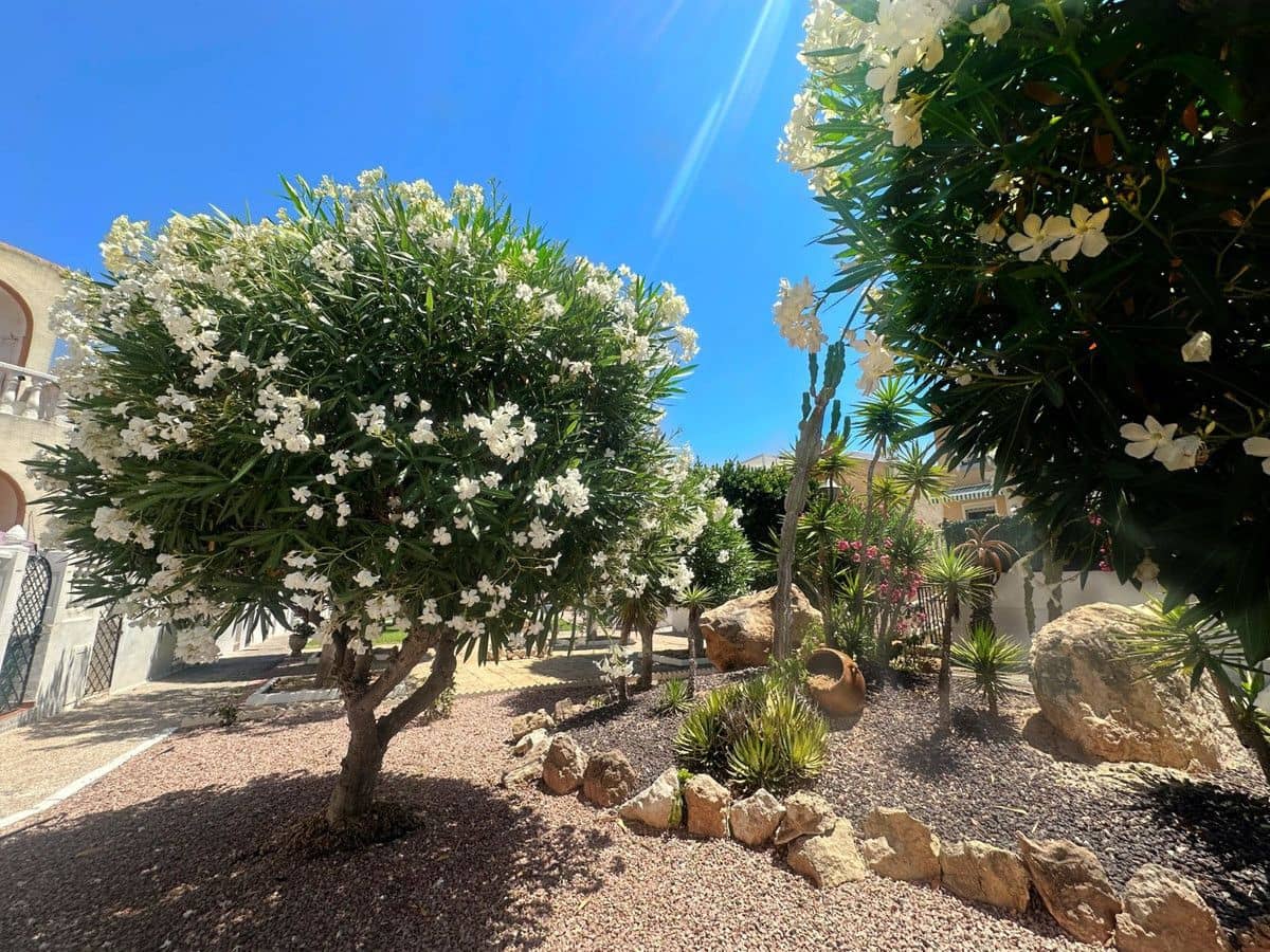 Chalet de 1 habitación en La Mata en venta con piscina - 146.900 € (Ref: 10018611)