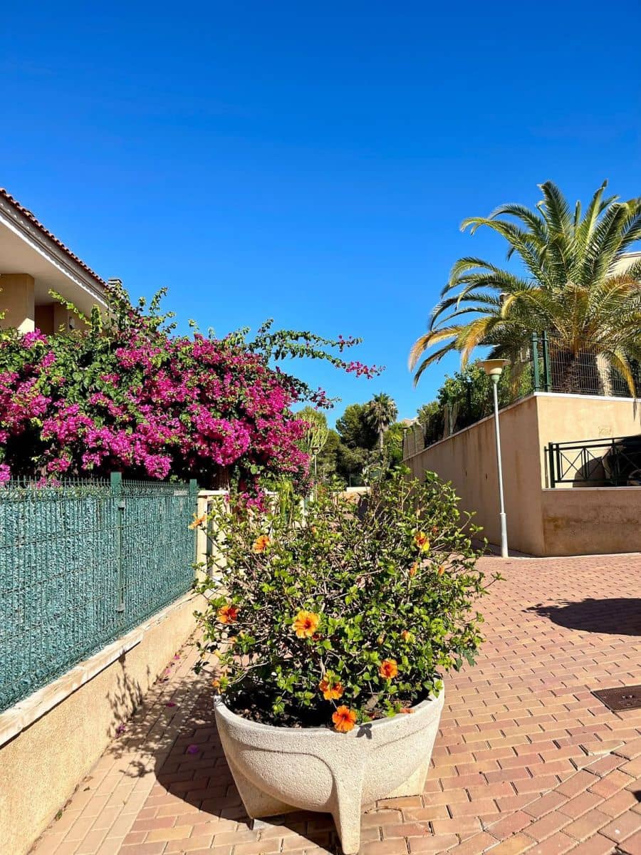 2 quarto Apartamento para venda em Gran Alacant com piscina - 205 000 € (Ref: 10019199)