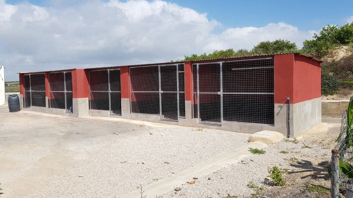 2 sovrum Finca/Hus på landet till salu i Los Montesinos - 380 000 € (Ref: 10022668)