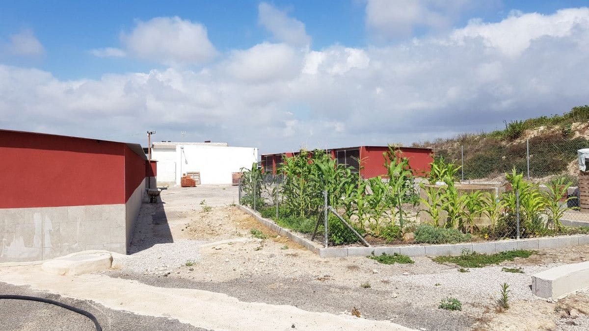 2 sovrum Finca/Hus på landet till salu i Los Montesinos - 380 000 € (Ref: 10022668)