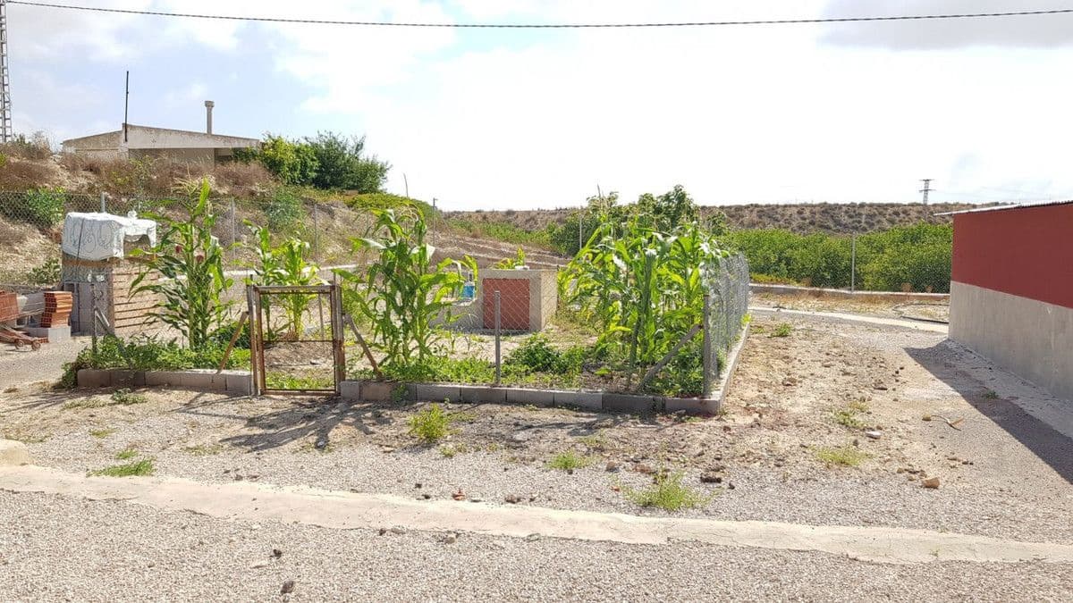 2 sovrum Finca/Hus på landet till salu i Los Montesinos - 380 000 € (Ref: 10022668)