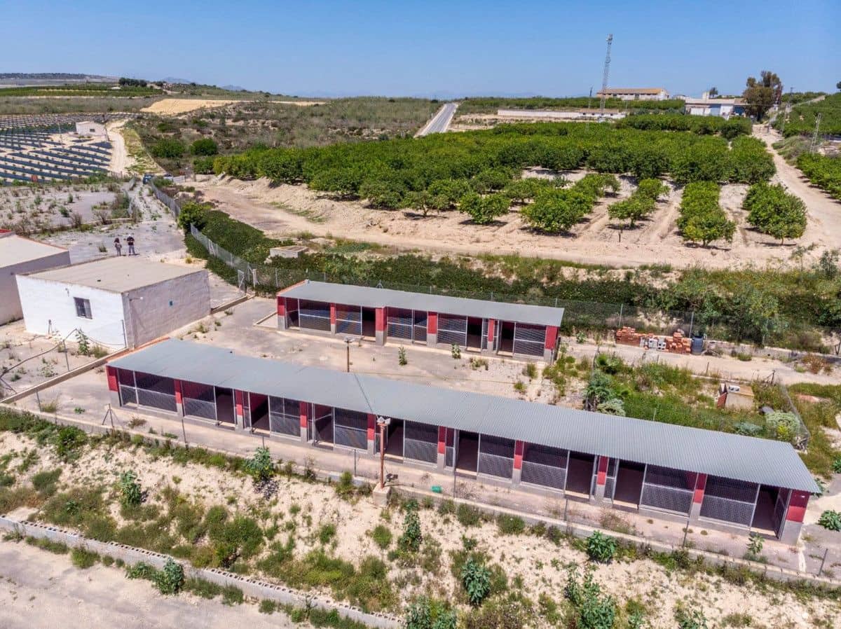 2 sovrum Finca/Hus på landet till salu i Los Montesinos - 380 000 € (Ref: 10022668)