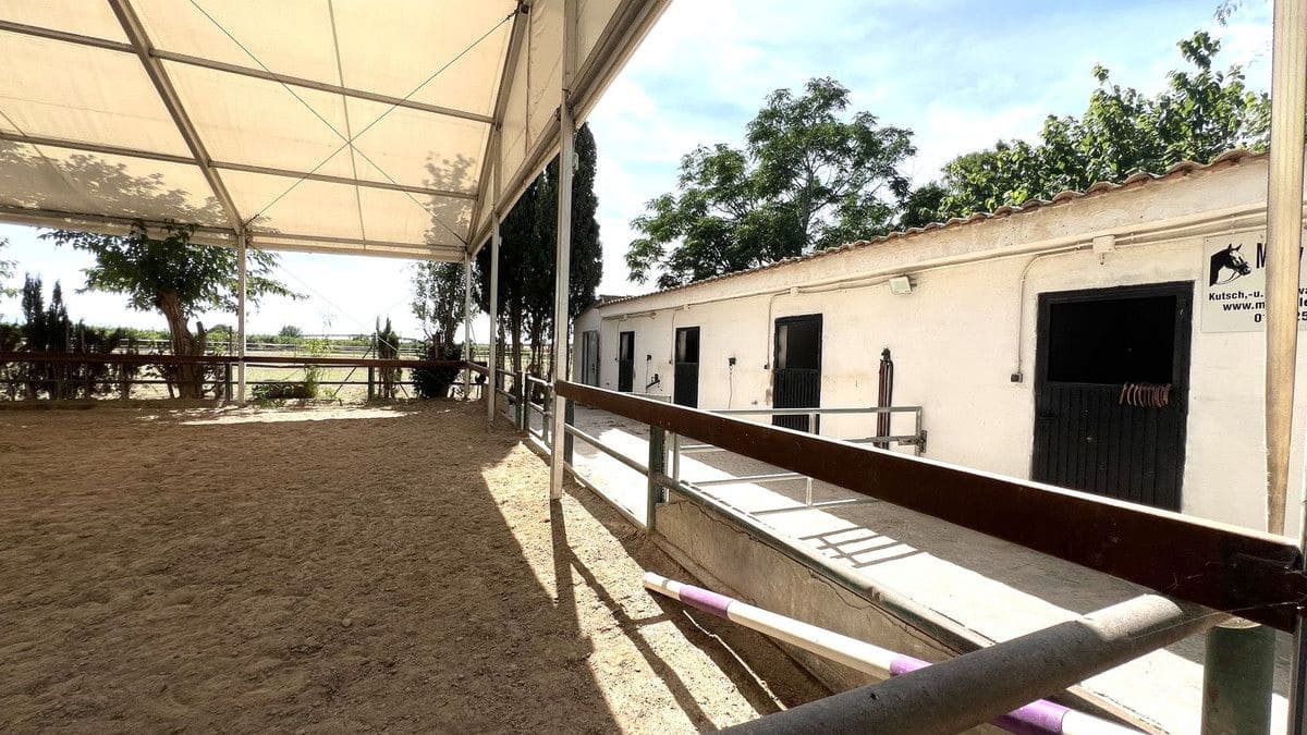 3 soveværelse Finca/Landehus til salg i Orihuela med swimmingpool - € 450.000 (Ref: 10027489)