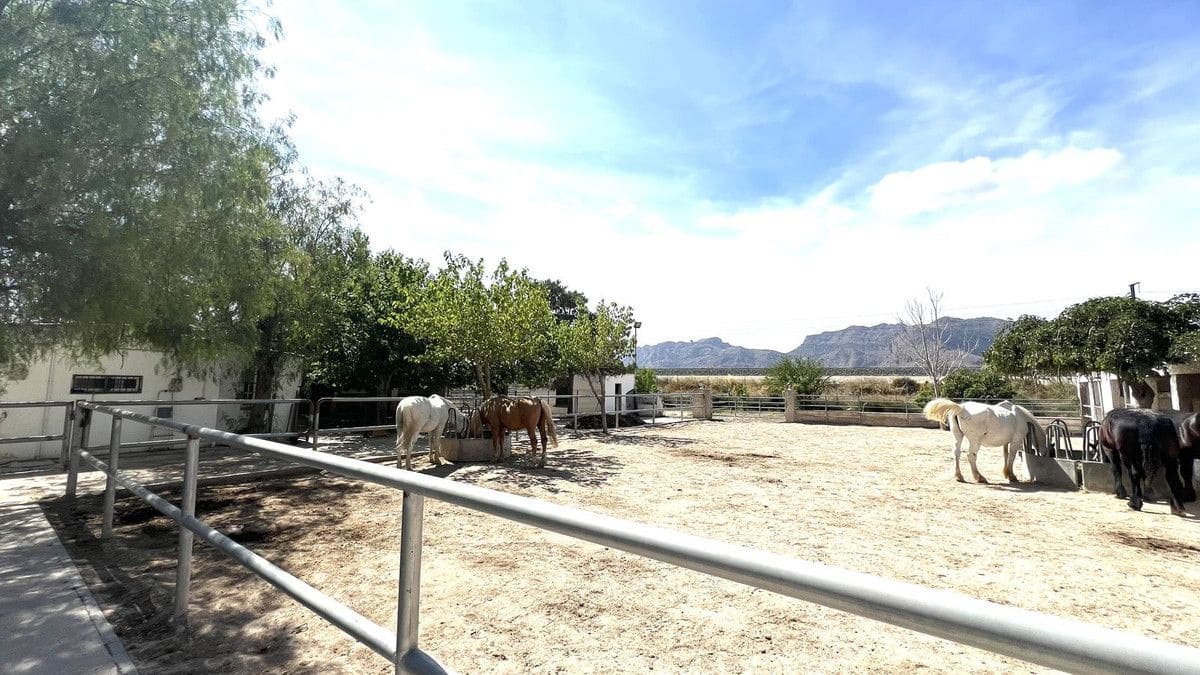 3 soveværelse Finca/Landehus til salg i Orihuela med swimmingpool - € 450.000 (Ref: 10027489)