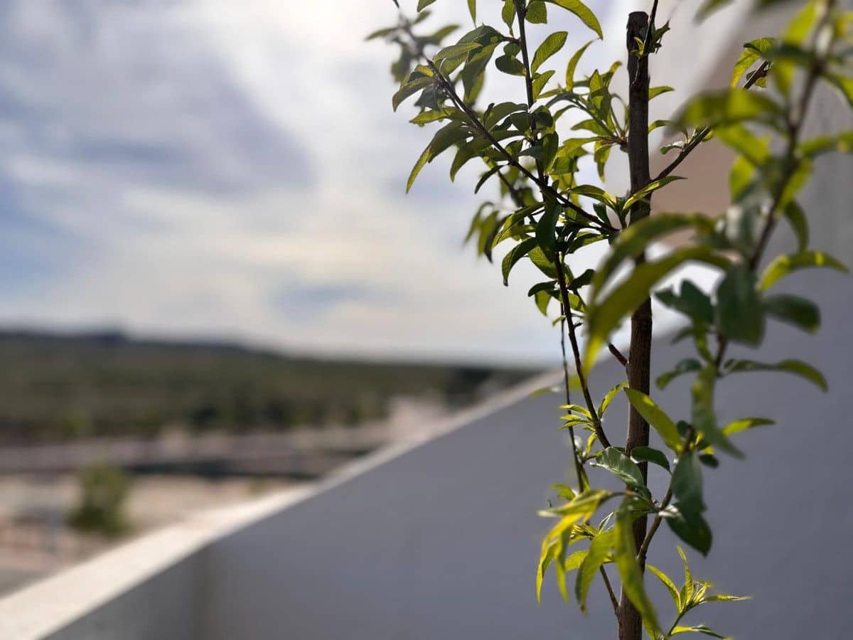 2 bedroom Apartment for sale in San Miguel de Salinas with pool - € 239,000 (Ref: 10027506)