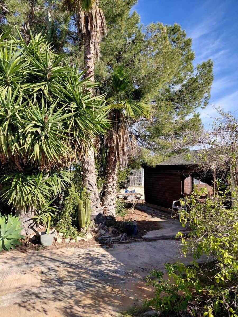 3 Zimmer Finca/Landgut zu verkaufen in Orihuela mit Pool - 350.000 € (Ref: 10028487)