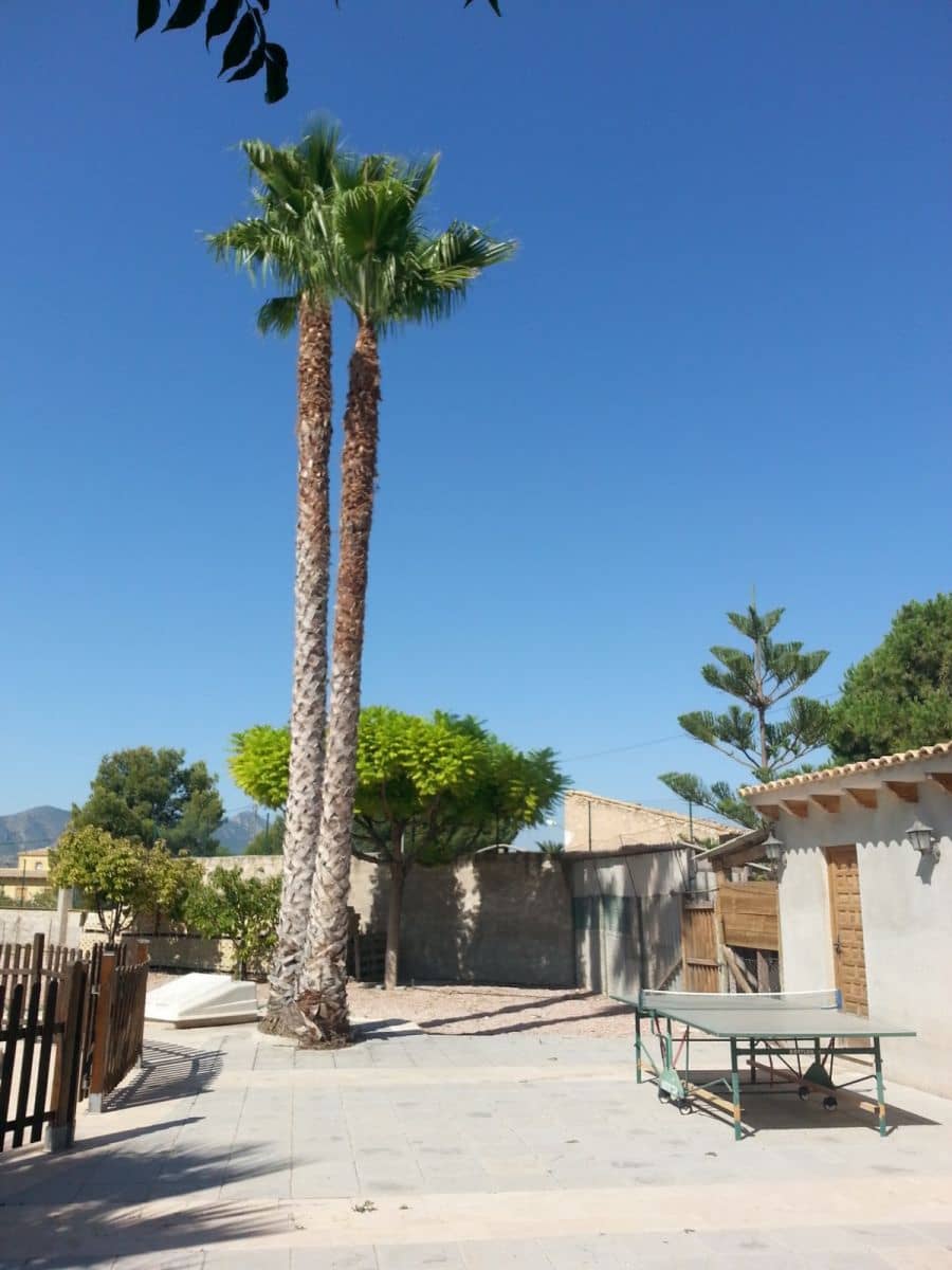 3 chambre Villa/Maison à vendre à La Romana - 385 000 € (Ref: 10028499)
