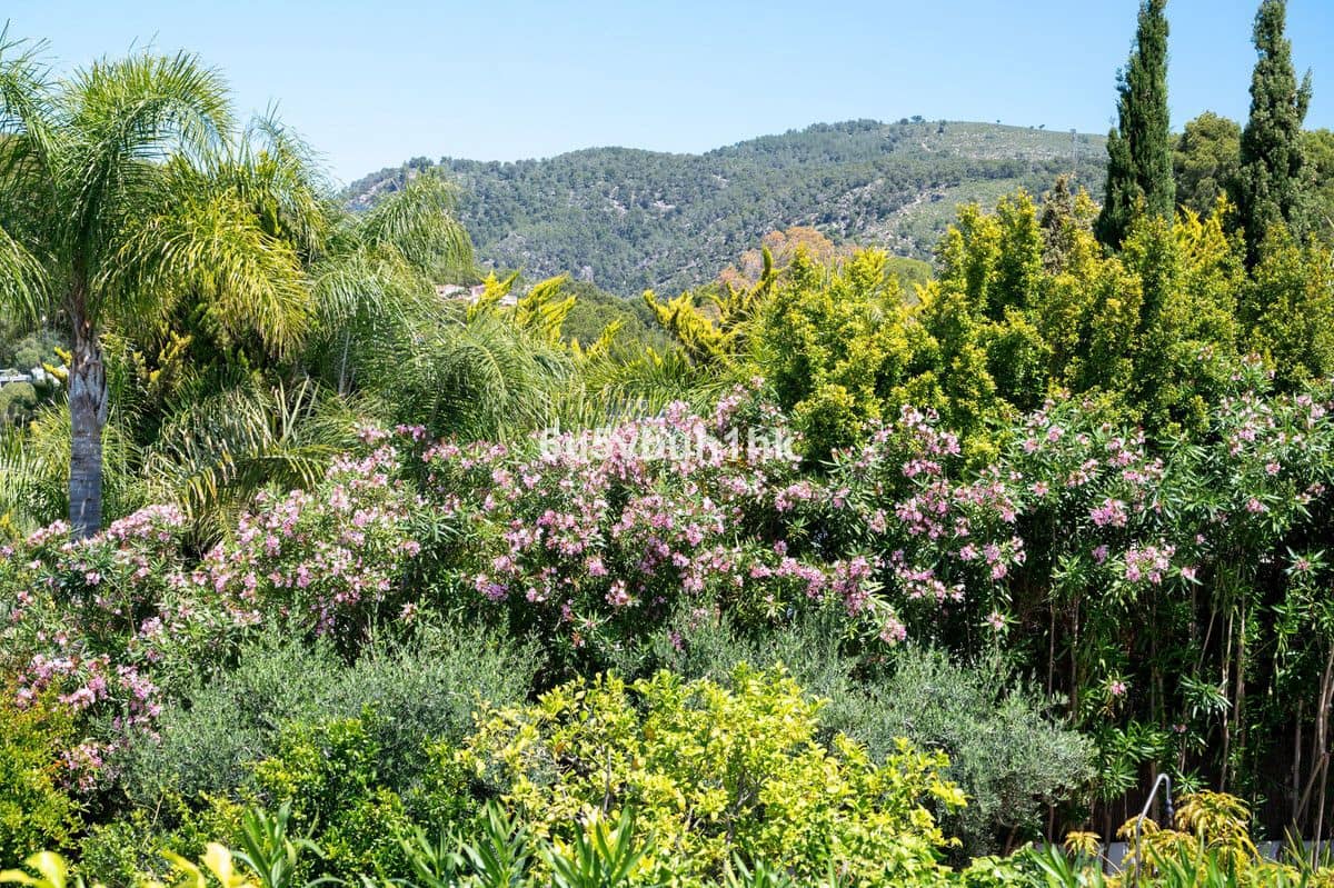 3 sypialnia Dom na sprzedaż w Calvia - 850 000 € (Ref: 10028579)