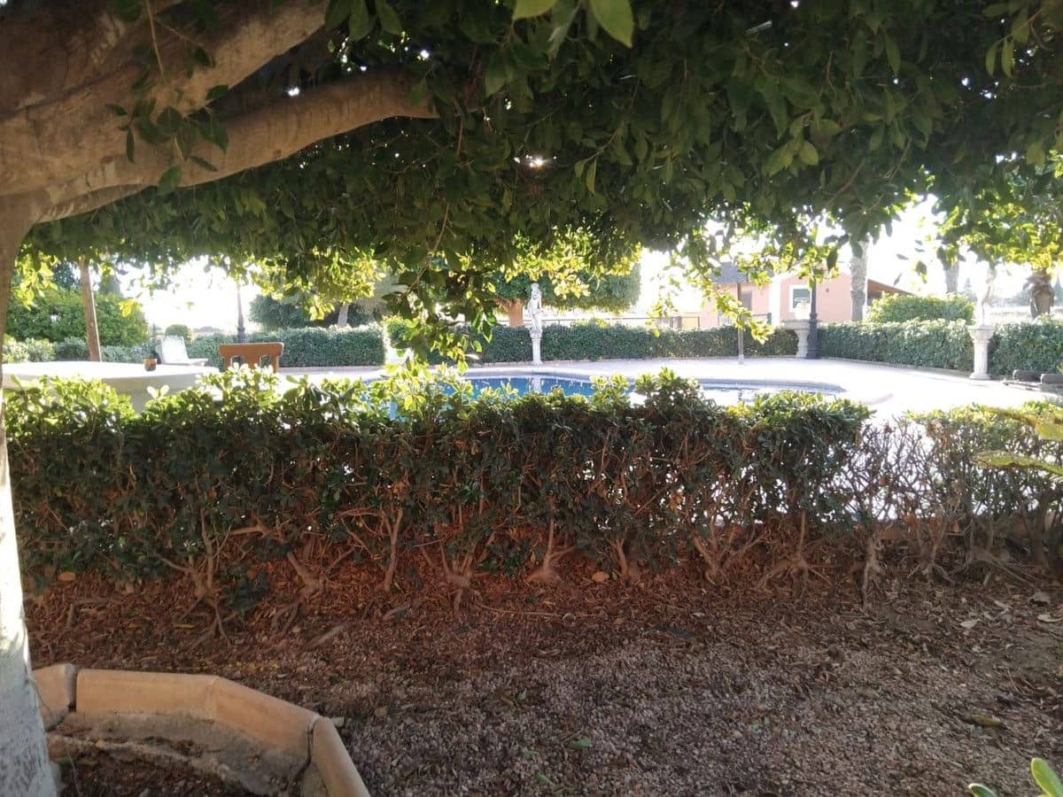 5 quarto Moradia para venda em Daya Nueva com piscina - 550 000 € (Ref: 10028640)