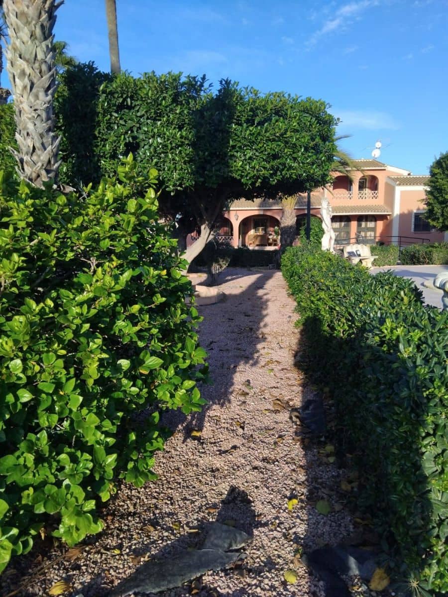 5 quarto Moradia para venda em Daya Nueva com piscina - 550 000 € (Ref: 10028640)