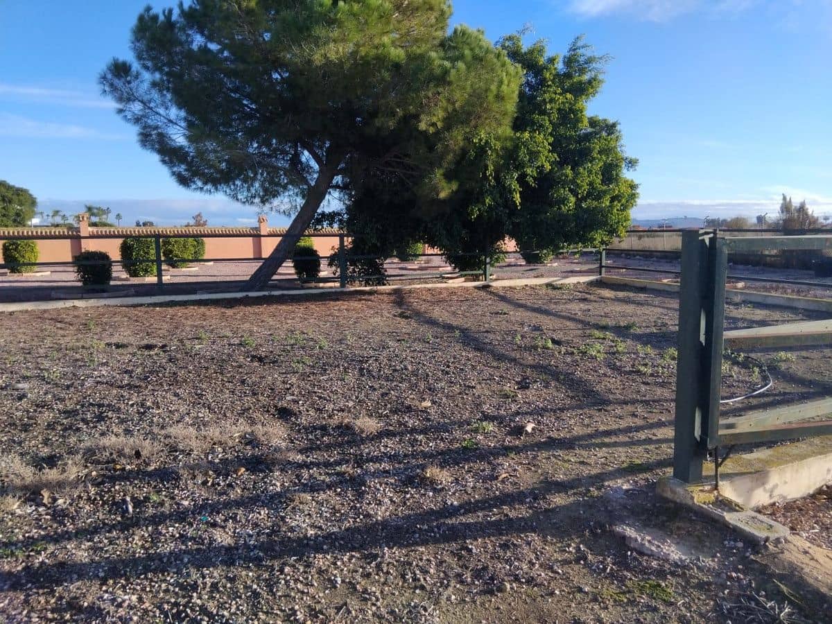 5 quarto Moradia para venda em Daya Nueva com piscina - 550 000 € (Ref: 10028640)