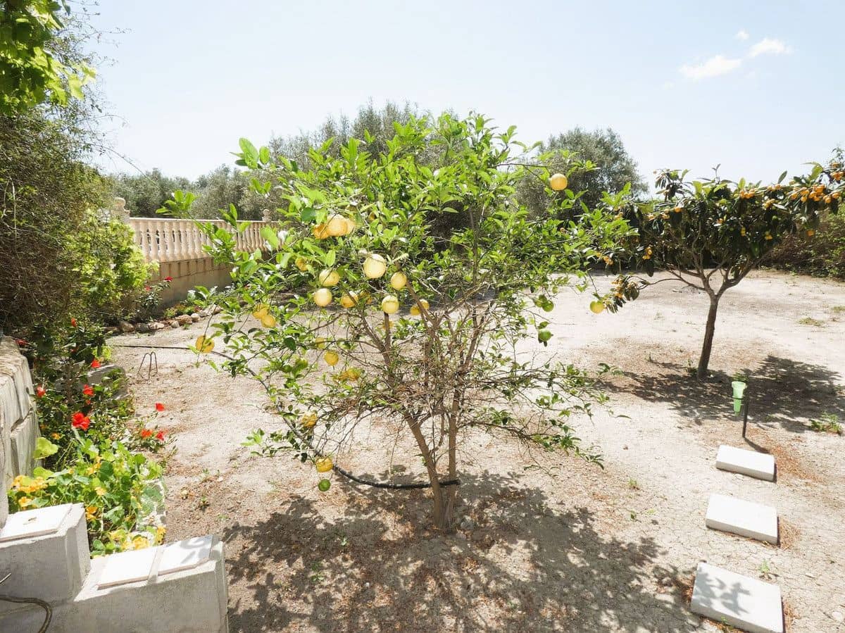 3 sovrum Finca/Hus på landet till salu i Dolores - 495 000 € (Ref: 10028664)