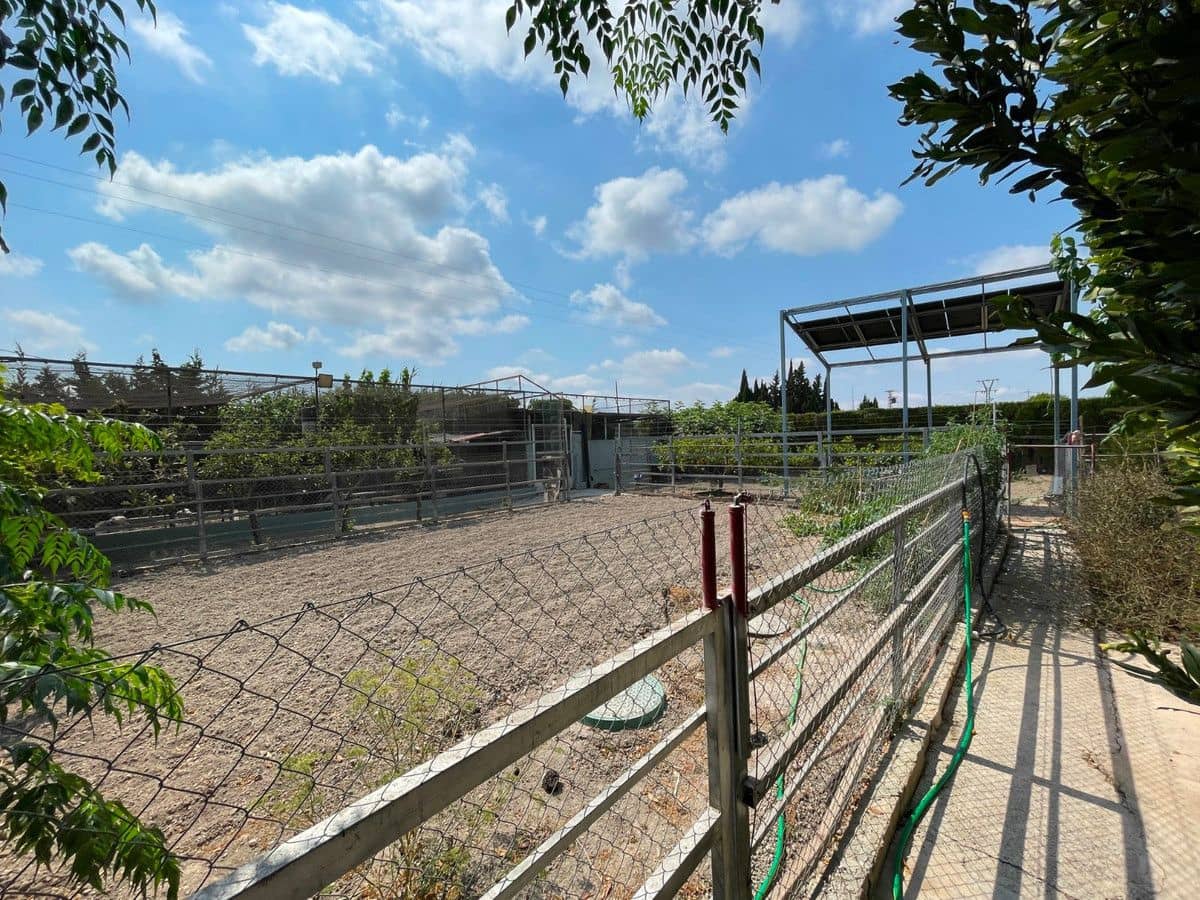 4 Zimmer Villa zu verkaufen in La Marina mit Pool - 476.000 € (Ref: 10028714)