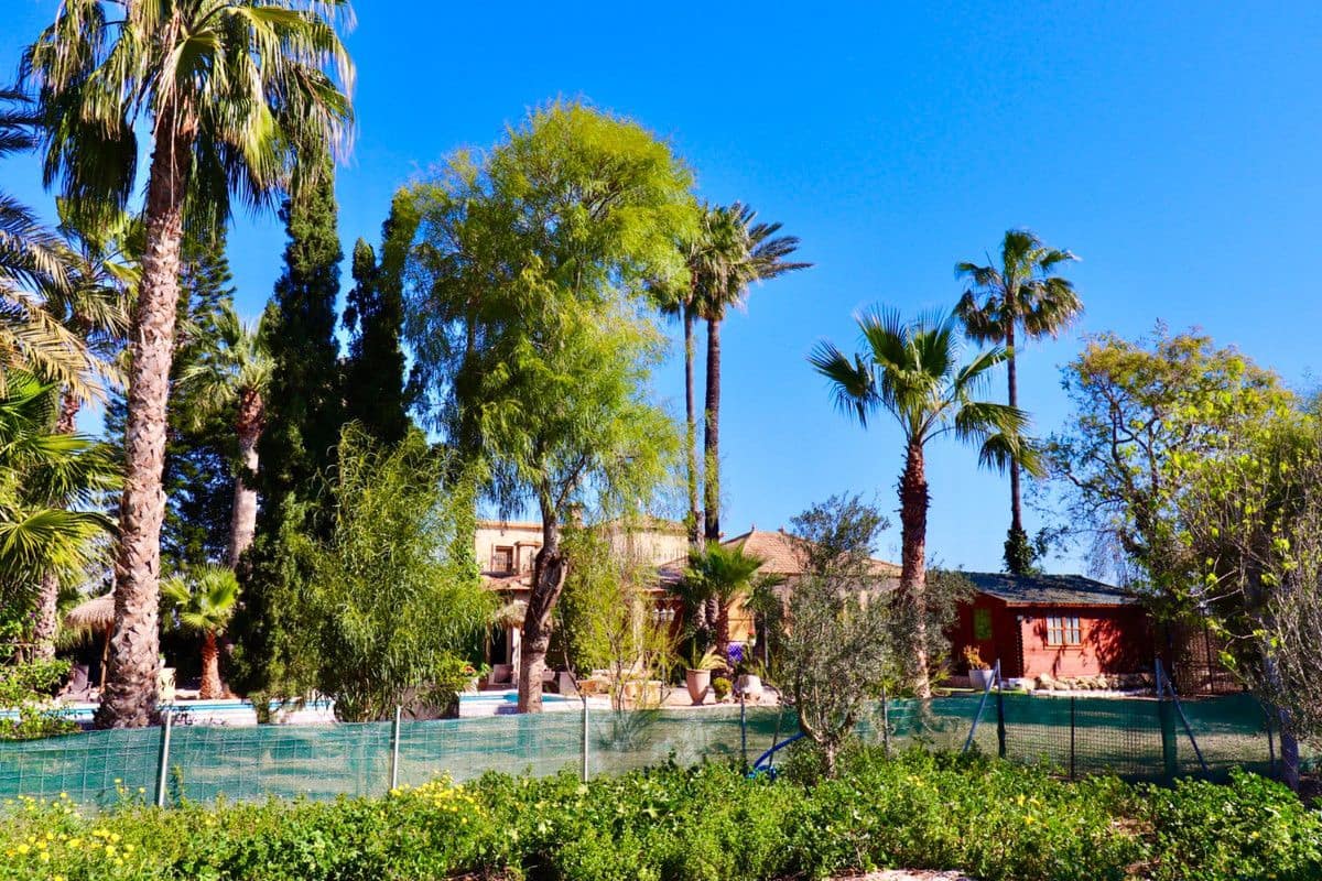 6 chambre Villa/Maison à vendre à Almoradi avec piscine - 599 000 € (Ref: 10028761)