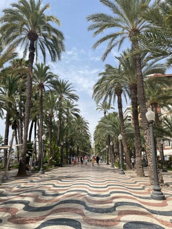 3 slaapkamer Appartement te koop in Alicante stad - € 279.000 (Ref: 10053469)