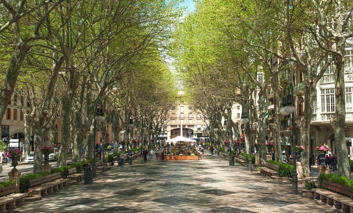 3 slaapkamer Appartement te koop in Palma de Mallorca - € 592.500 (Ref: 10053745)