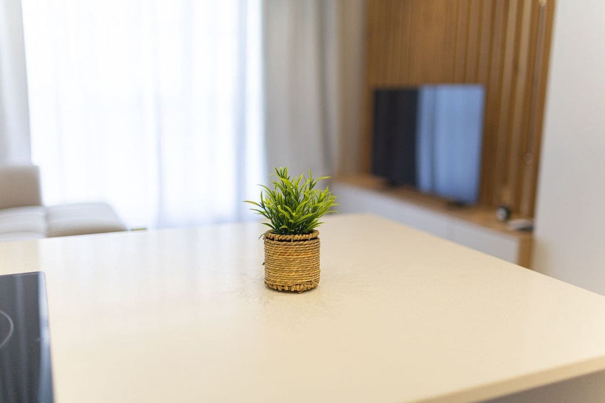 2 Zimmer Apartment zu verkaufen in Alicante / Alacant Stadt - 199.300 € (Ref: 10061639)