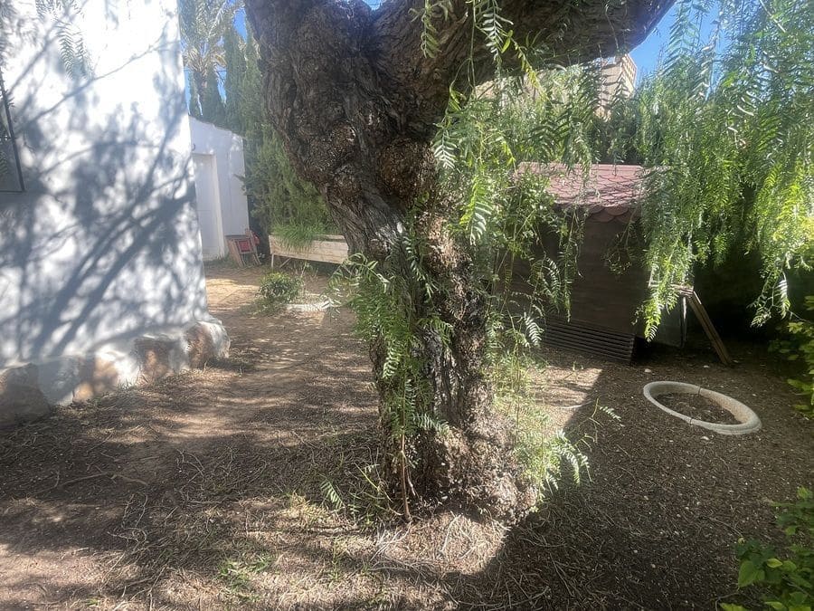 4 sypialnia Willa na sprzedaż w Cabo Roig - 749 000 € (Ref: 10068915)