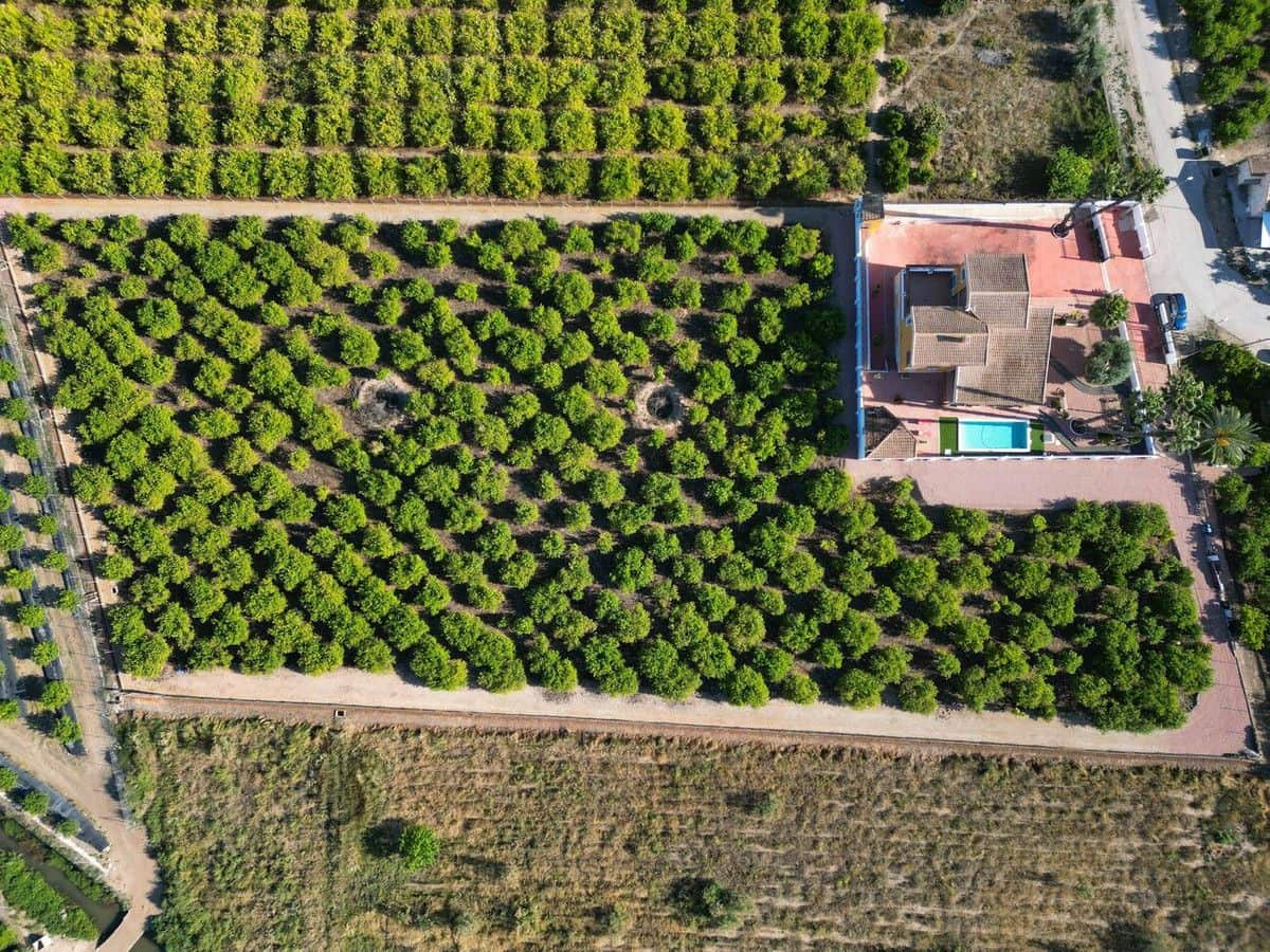 5 quarto Quinta/Casa Rural para venda em Orihuela - 649 999 € (Ref: 10070654)