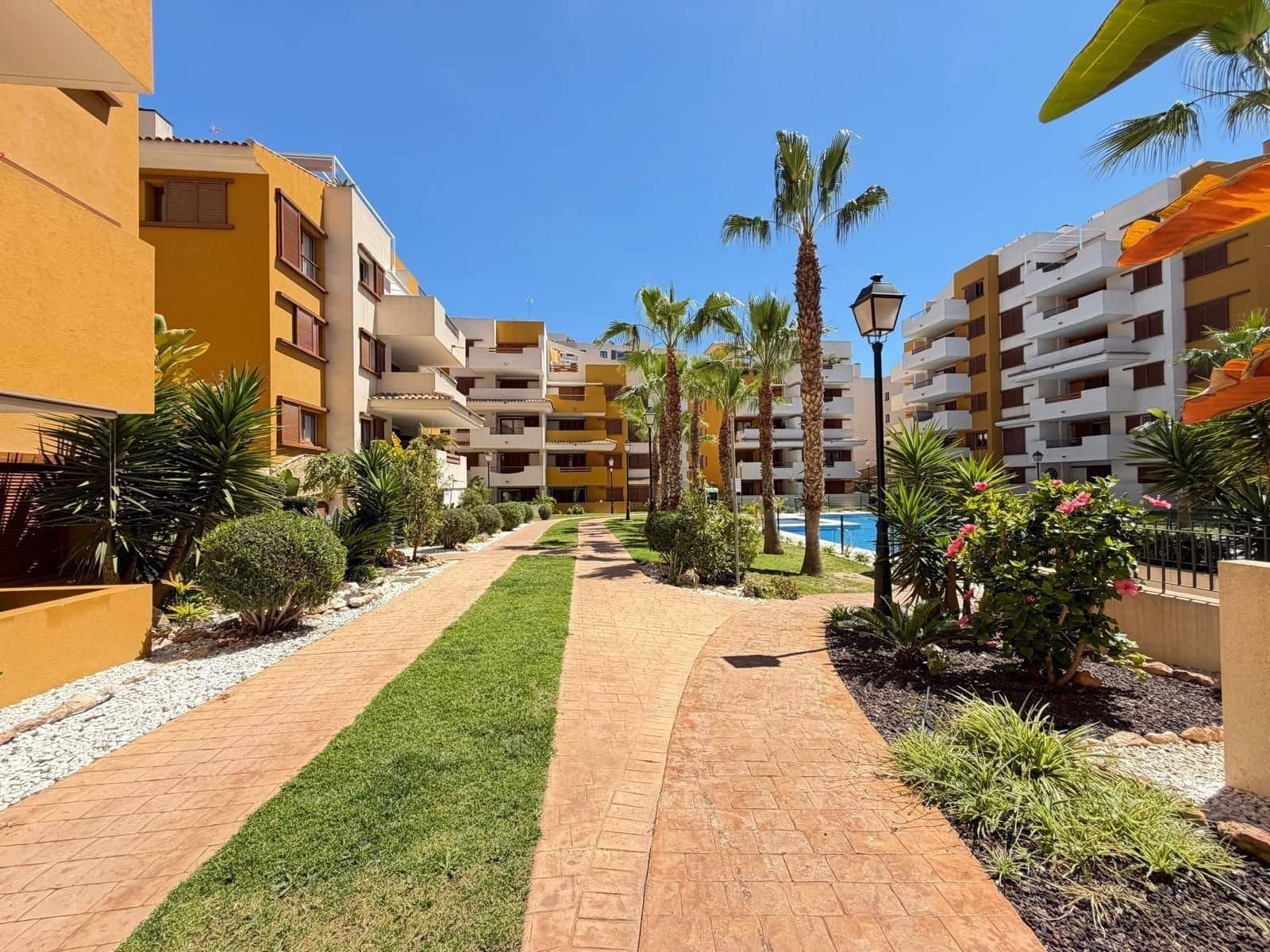 3 soveværelse Lejlighed til salg i Punta Prima med swimmingpool - € 389.900 (Ref: 10091934)