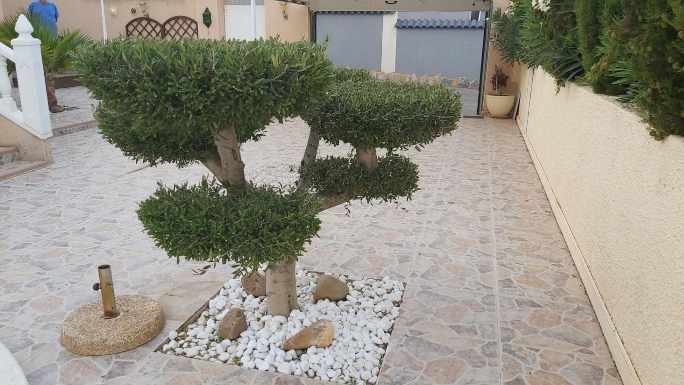 2 quarto Moradia para venda em Benijofar com piscina garagem - 299 000 € (Ref: 10125406)