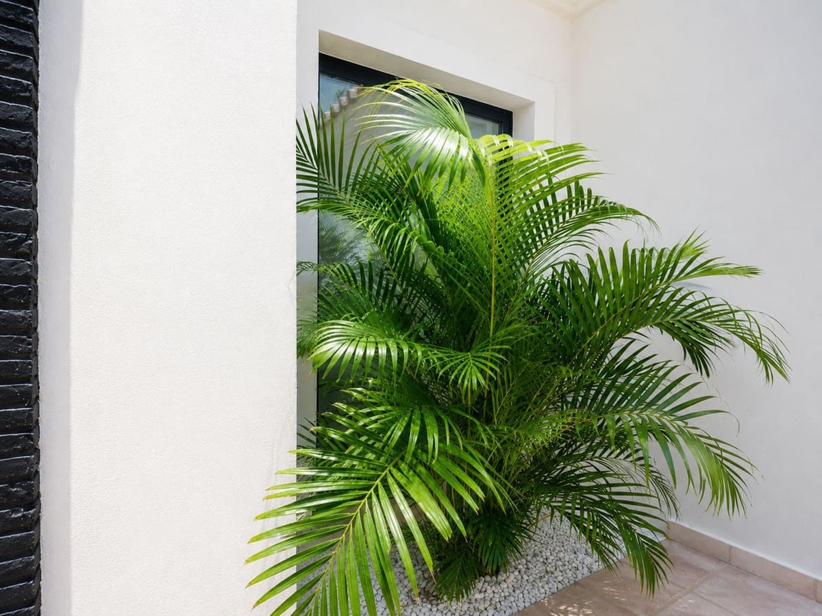 6 sovrum Villa till salu i El Paraiso med pool garage - 3 700 000 € (Ref: 10125629)