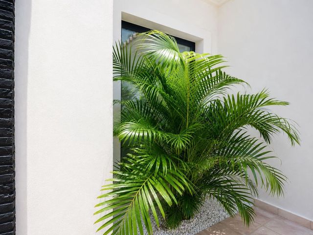 6 makuuhuone Huvila myytävänä paikassa El Paraiso, Estepona mukana uima-altaan 
autotalli - 3 700 000 € (Ref: 10125629)