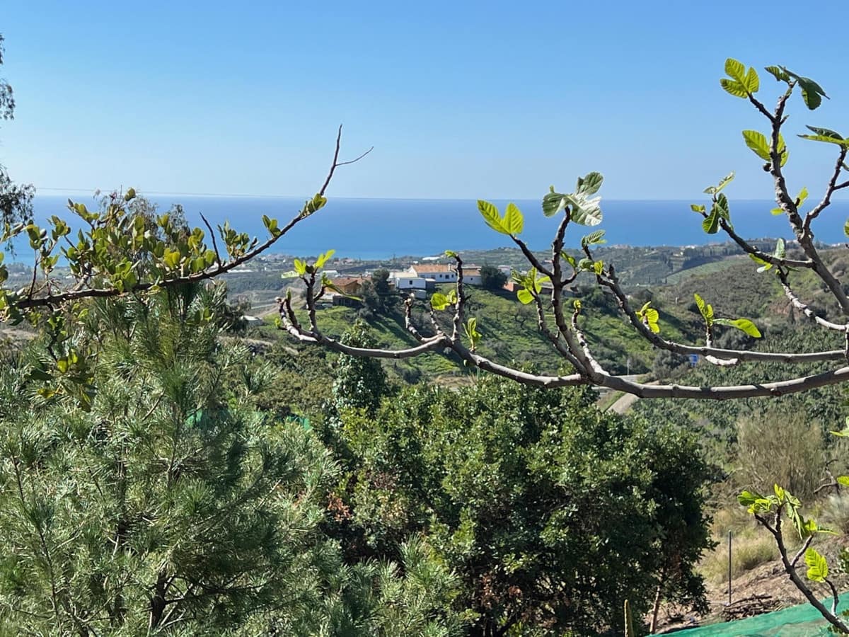 3 sypialnia Willa na sprzedaż w Velez-Malaga z basenem garażem - 485 000 € (Ref: 10125708)