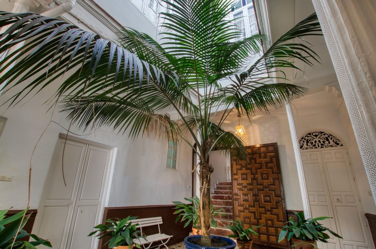 12 chambre Maison de Ville à vendre à Velez-Malaga avec piscine - 1 100 000 € (Ref: 10125709)