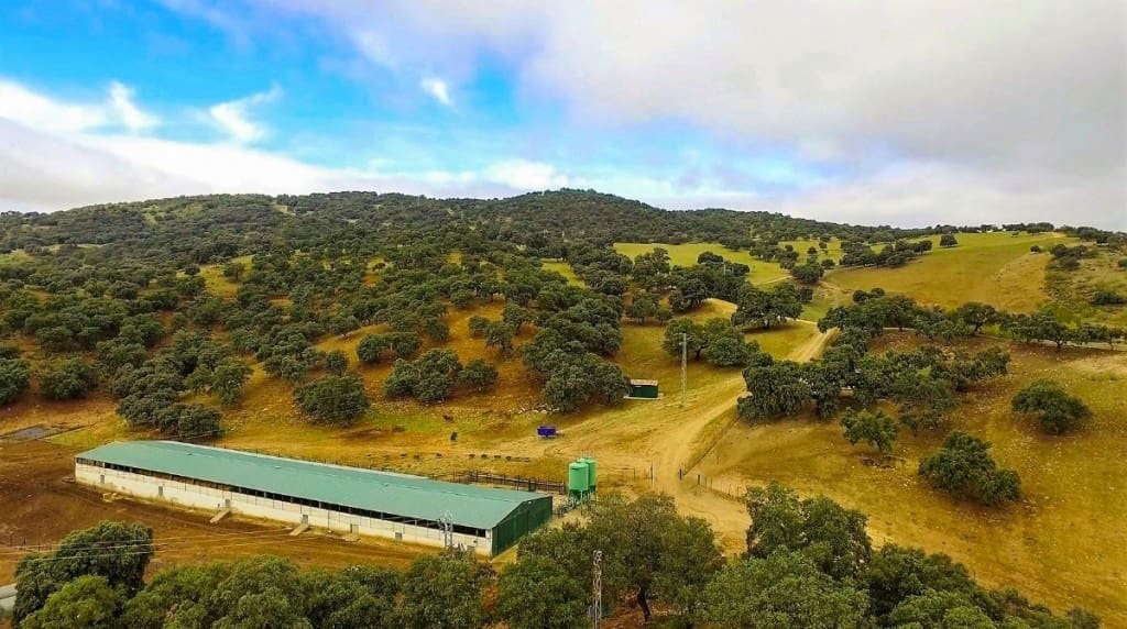 7 Zimmer Finca/Landgut zu verkaufen in Ronda mit Pool Garage - 16.500.000 € (Ref: 10128257)