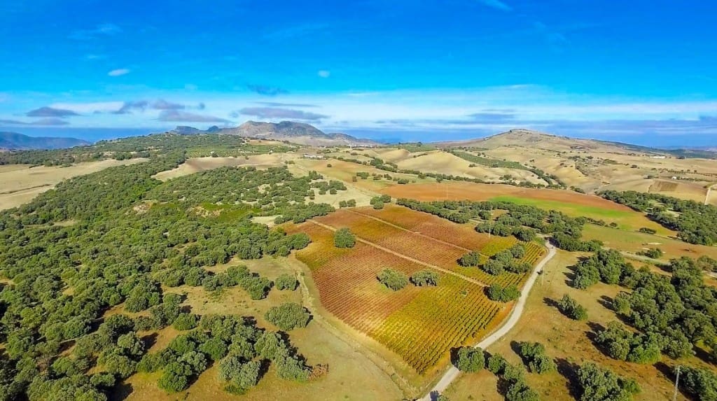 7 Zimmer Finca/Landgut zu verkaufen in Ronda mit Pool Garage - 16.500.000 € (Ref: 10128257)