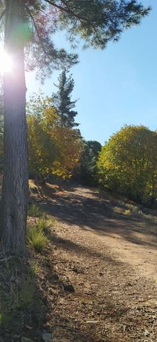 2 slaapkamer Finca/Landhuis te koop in Jubrique met zwembad garage - € 300.000 (Ref: 10128276)