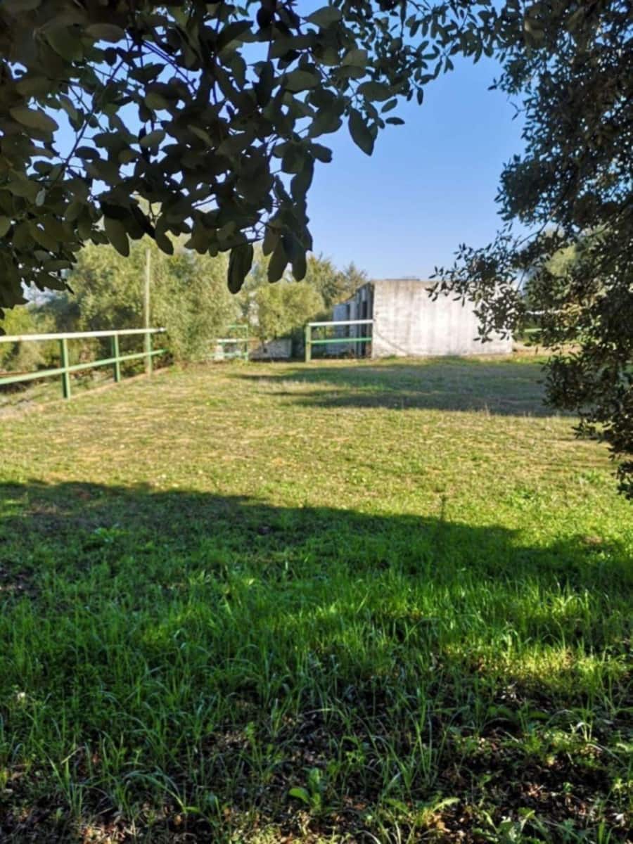 6 bedroom Finca/Country House for sale in Ronda with pool garage - € 770,000 (Ref: 10128277)