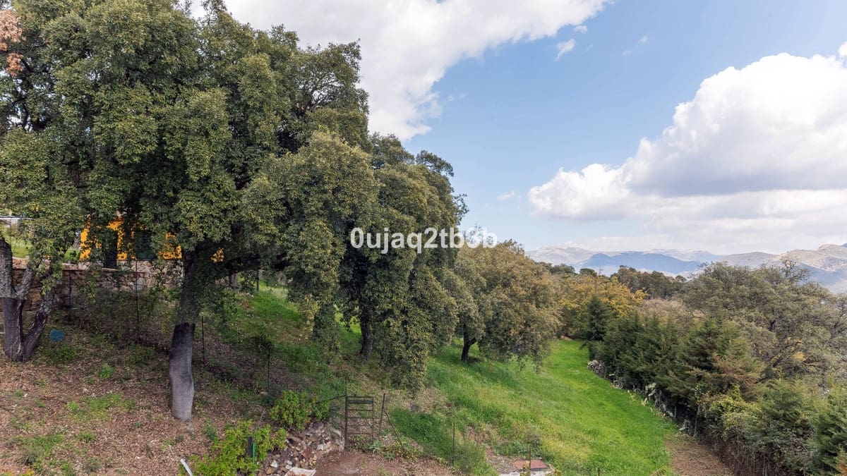 3 slaapkamer Finca/Landhuis te koop in Cortes de la Frontera met zwembad garage - € 995.000 (Ref: 10128291)