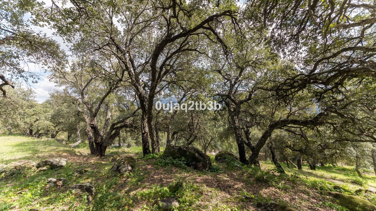 3 slaapkamer Finca/Landhuis te koop in Cortes de la Frontera met zwembad garage - € 995.000 (Ref: 10128291)