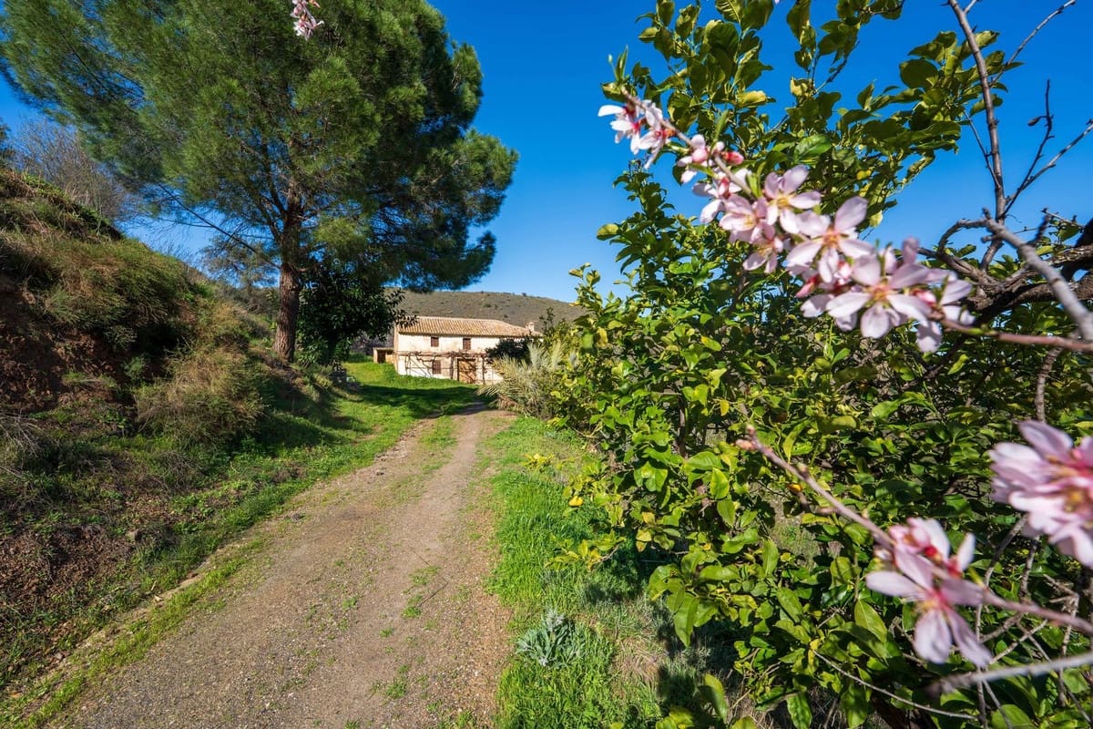 3 sovrum Villa till salu i Colmenar - 1 200 000 € (Ref: 10128306)