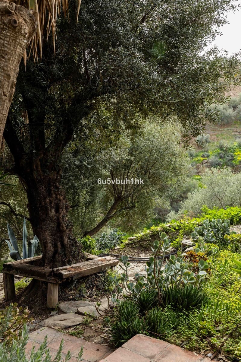 31 makuuhuone Omakotitalo myytävänä paikassa Vinuela mukana uima-altaan - 2 495 000 € (Ref: 10128318)