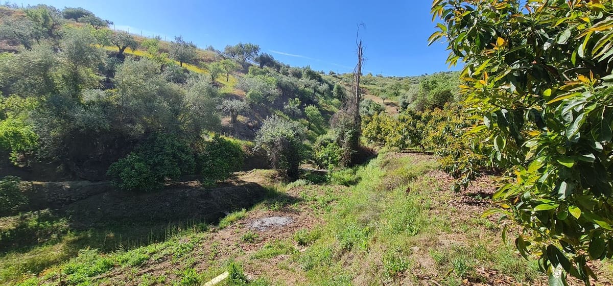 2 bedroom Villa for sale in Tolox with garage - € 320,000 (Ref: 10128333)