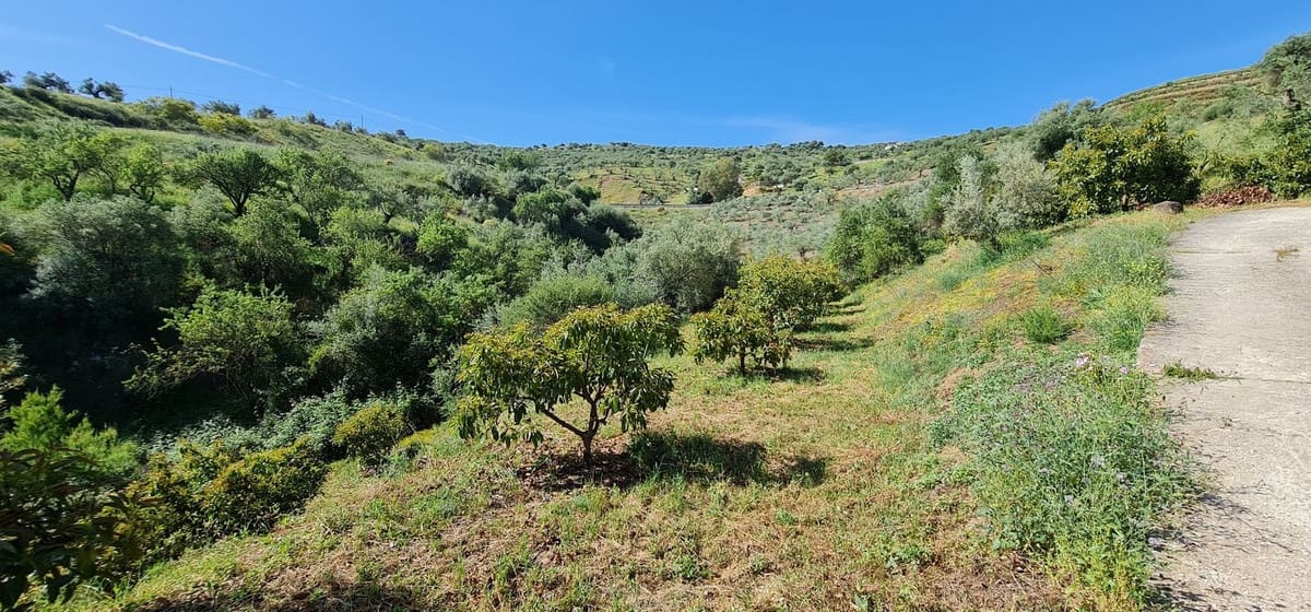 2 bedroom Villa for sale in Tolox with garage - € 320,000 (Ref: 10128333)