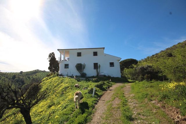 Finca/Casa Rural de 20 habitaciones en Almogía en venta - 1.600.000 € (Ref: 10128373)