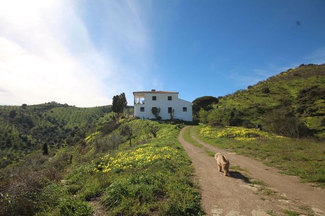 Finca/Casa Rural de 20 habitaciones en Almogía en venta - 1.600.000 € (Ref: 10128373)