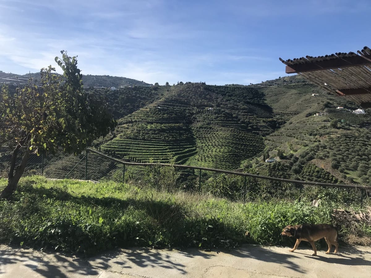 Finca/Casa Rural de 2 habitaciones en Frigiliana en venta - 200.000 € (Ref: 10128398)