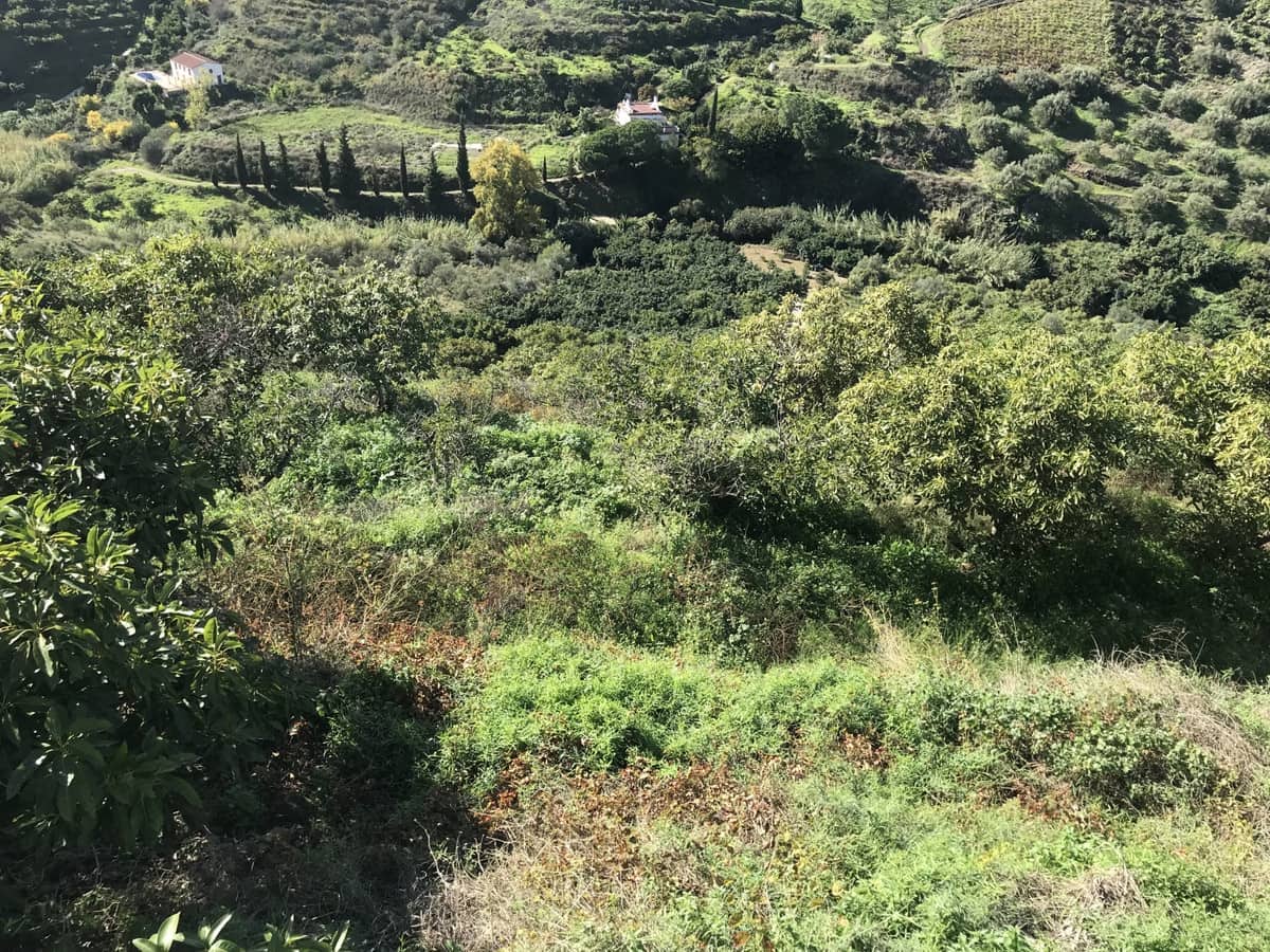 Finca/Casa Rural de 2 habitaciones en Frigiliana en venta - 200.000 € (Ref: 10128398)