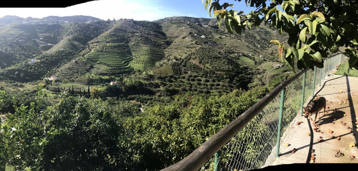Finca/Casa Rural de 2 habitaciones en Frigiliana en venta - 200.000 € (Ref: 10128398)