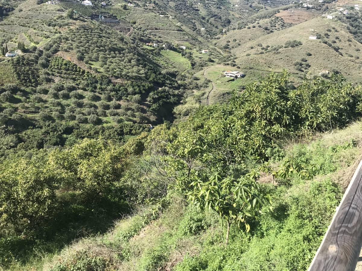 Finca/Casa Rural de 2 habitaciones en Frigiliana en venta - 200.000 € (Ref: 10128398)