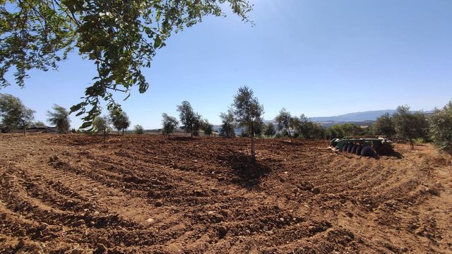 4 Zimmer Finca/Landgut zu verkaufen in Ronda - 477.500 € (Ref: 10128418)