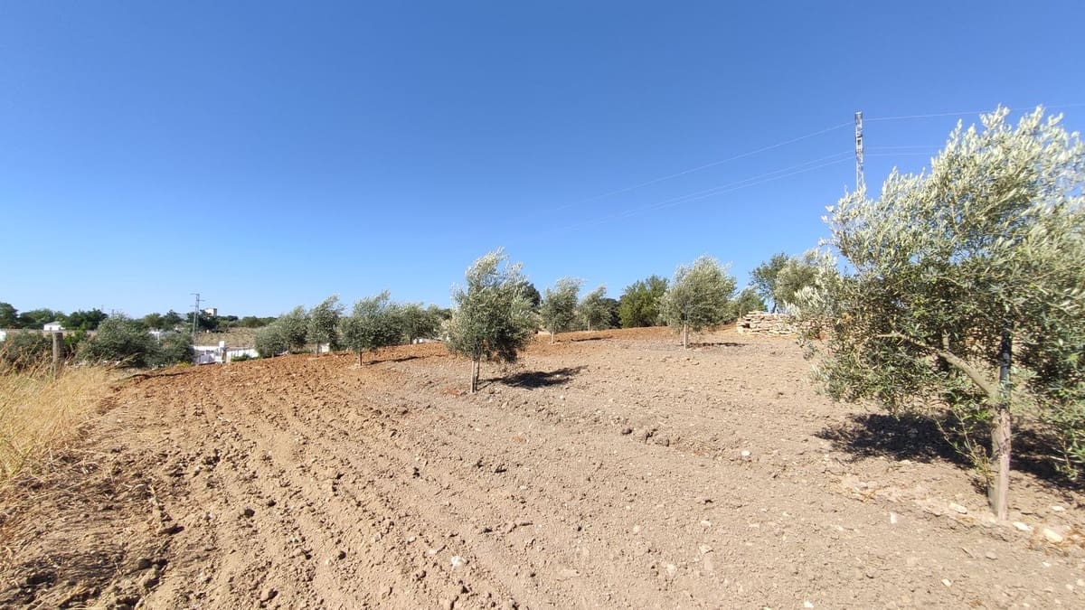 4 Zimmer Finca/Landgut zu verkaufen in Ronda - 477.500 € (Ref: 10128418)